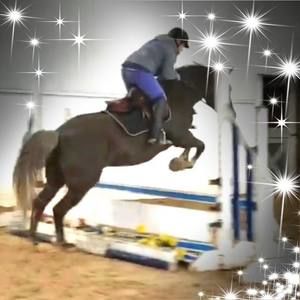 Meet your Posher, Lori